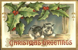 Christmas Greetings Postcard