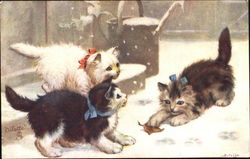 Kittens Playing in Snow Postcard