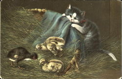 Stock #178343 Thumbnail