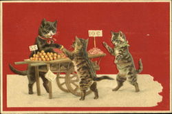 Cat Fruit Merchant Cats Postcard Postcard