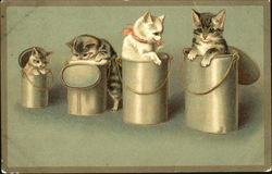 Kittens in Pails Postcard