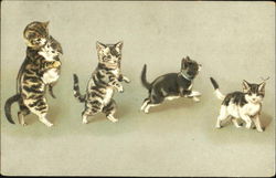 Kittens playing Cats Postcard Postcard