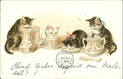 Cats Drinking Milk Postcard