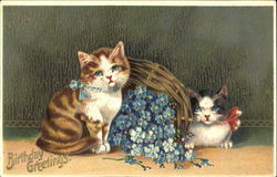 Birthday Greetings Postcard