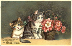 Birthday Greetings Postcard