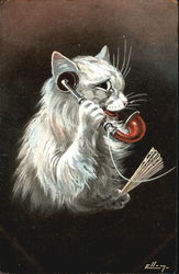 Cat on Telephone Postcard