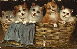 Five playful kittens in a basket Postcard