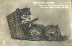 Disturbed Dream Postcard