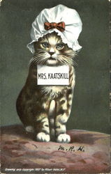 Mrs. Kaatskill Cats Postcard Postcard