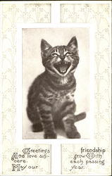 Stock #178485 Thumbnail