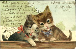Singing Cats Postcard