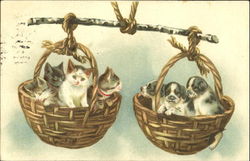 Kittens and Puppies in Baskets Postcard