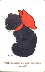 All Dressed Up And Nowhere To Go! Postcard