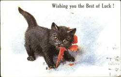 Wishing You The Best Of Luck! Cats Postcard Postcard