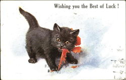 Wishing You The Best Of Luck! Postcard
