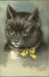 Cat with Yellow Ribbon Postcard