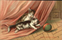 Rest After Play Postcard