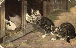 Stock #178611 Thumbnail