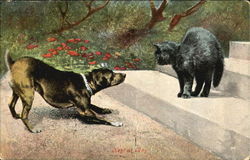 Dog Playing with Black Cat on Steps Postcard