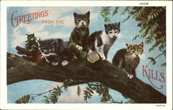 Greetings From The Cats-Kills Postcard