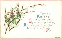 Kittens Postcard