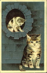 Two lonely Cats Postcard