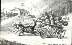 Stock #178654 Thumbnail