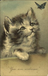 Stock #178663 Thumbnail