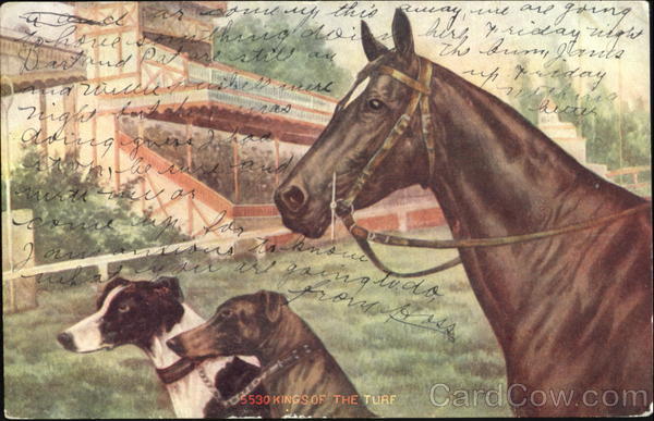 King Of The Turf Horses