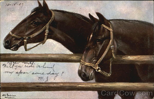 Two Horses Alfred Schonian