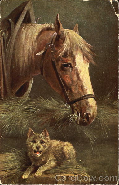 Horse & Dog Horses