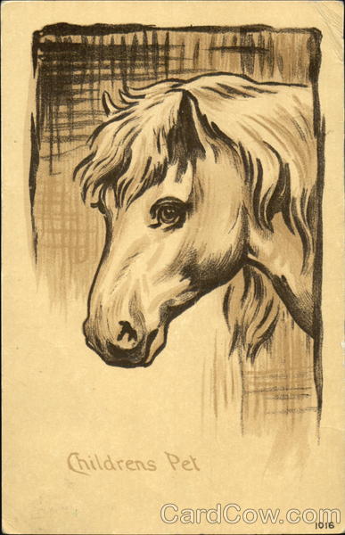 Childrens Pet Horses