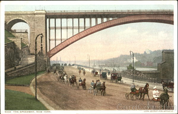 The Speedway New York City Horses