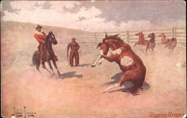 Roping Broncos John Innes Cowboy Western