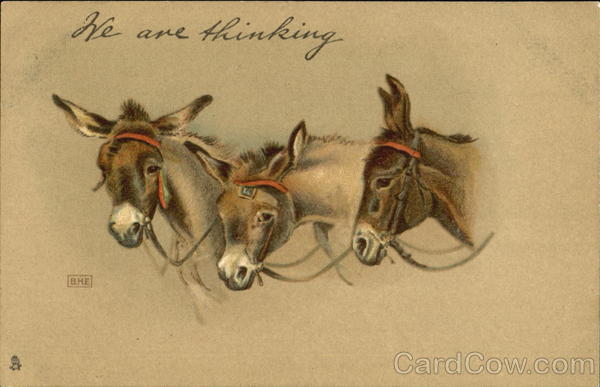 We Are Thinking Donkeys