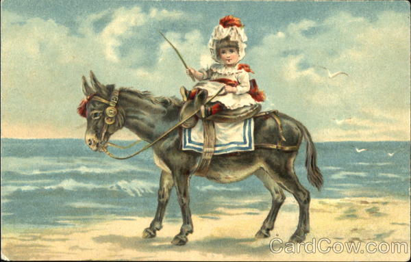 Girl on a Pony Horses