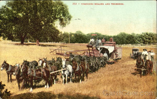 Combined Header And Thresher Horses