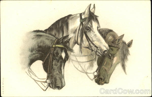 Horses