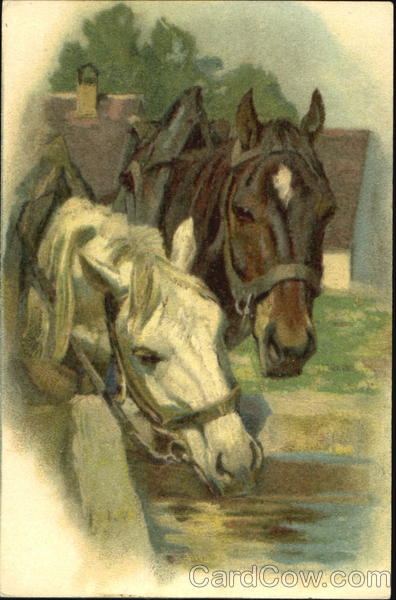 Horses