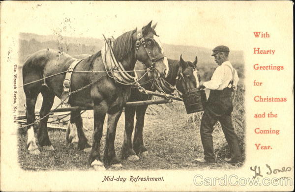 Mid-Day Refreshment Horses
