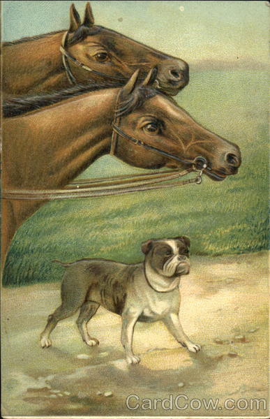 Horses and Bulldog