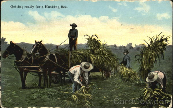 Getting Ready For A Husking Bee Farming