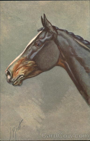 Horse J. Rivst Horses