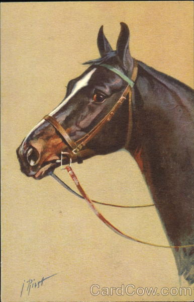 Horse J. Rivst Horses
