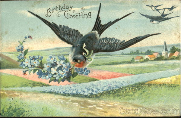 Birthday Greeting Birds