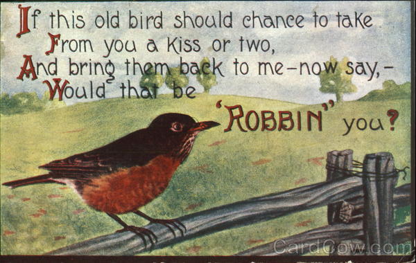 Robbin Birds