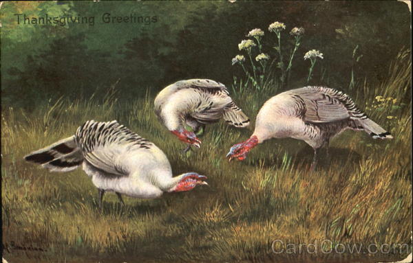 Thanksgiving Birds