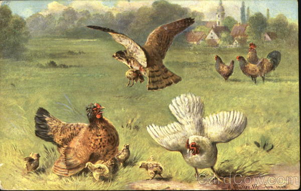 Owl & Chickens Augustus Muller