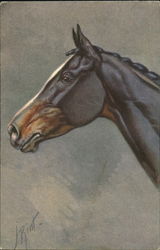 Horse Postcard