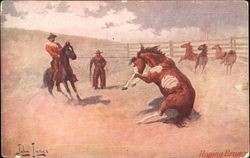 Roping Broncos Cowboy Western Postcard Postcard